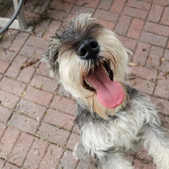 Meet your Posher, Agnieszka - Picture 2 of 8